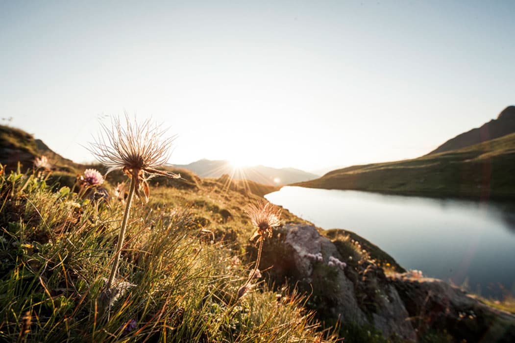 Sonnenaufgang beim Torsee im Tuxertal